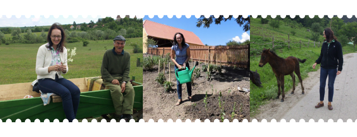 tl_files/gfx/Bildleiste5.png tl_files/gfx/Bildleiste5.png